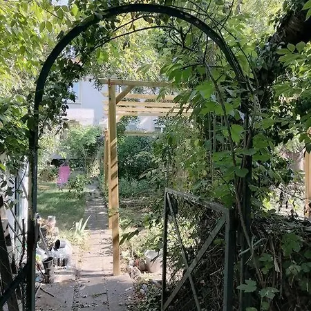 Joli Maison Avec Jardin, A 10mn A Pied Du Centre Historique 別荘