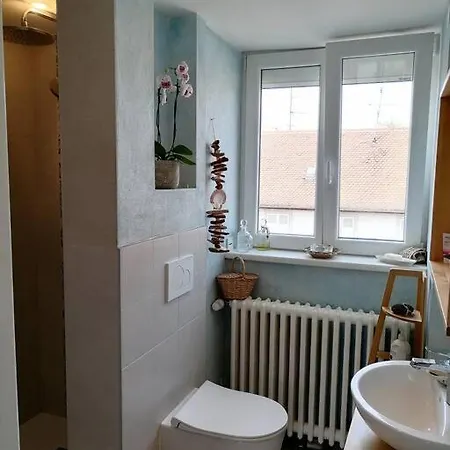 Joli Maison Avec Jardin, A 10mn A Pied Du Centre Historique 別荘 コルマール