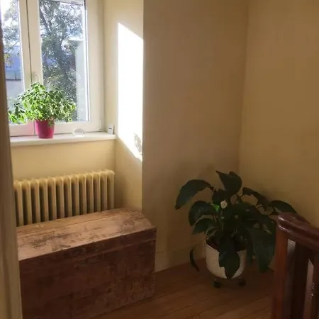 Joli Maison Avec Jardin, A 10mn A Pied Du Centre Historique 別荘 *