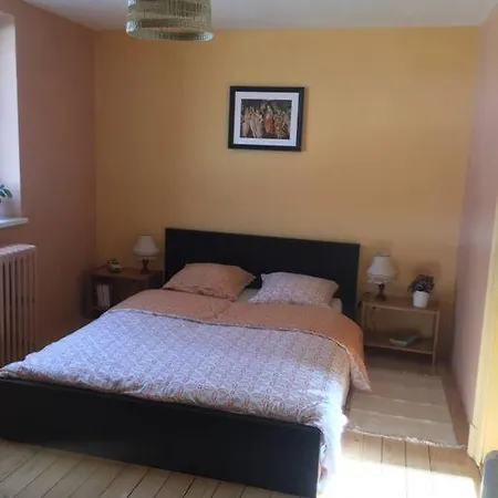 Joli Maison Avec Jardin, A 10mn A Pied Du Centre Historique 別荘 コルマール